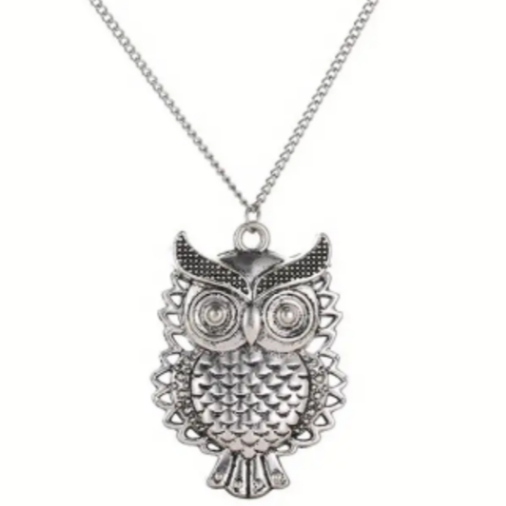 Owl Pendant Necklace Unisex Long Chain